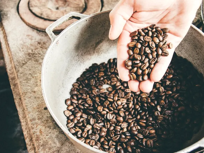 Main plongée dans des grains de café torréfiés