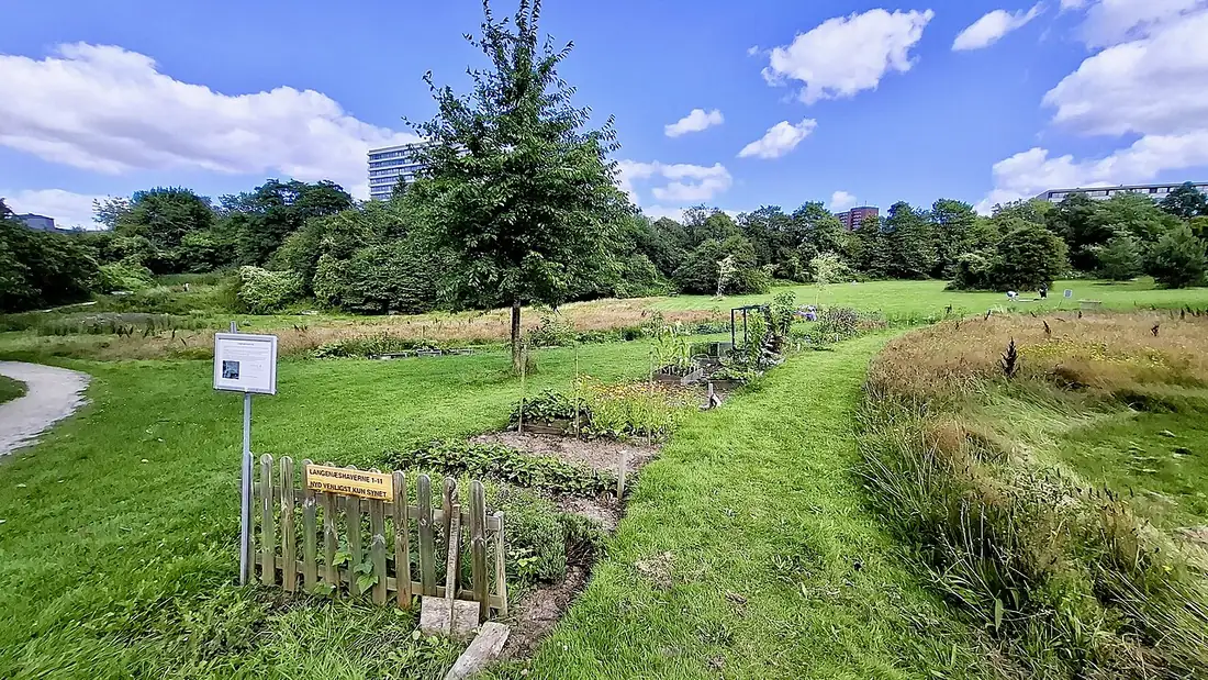 Les parcelles du jardin partagé, un matin de permanence