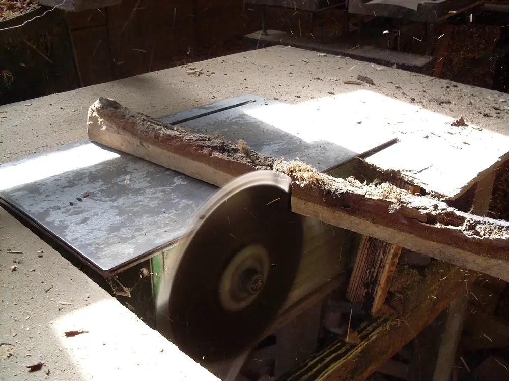 Intérieur d'une boutique en bois, comptoir et rayonnages garnis