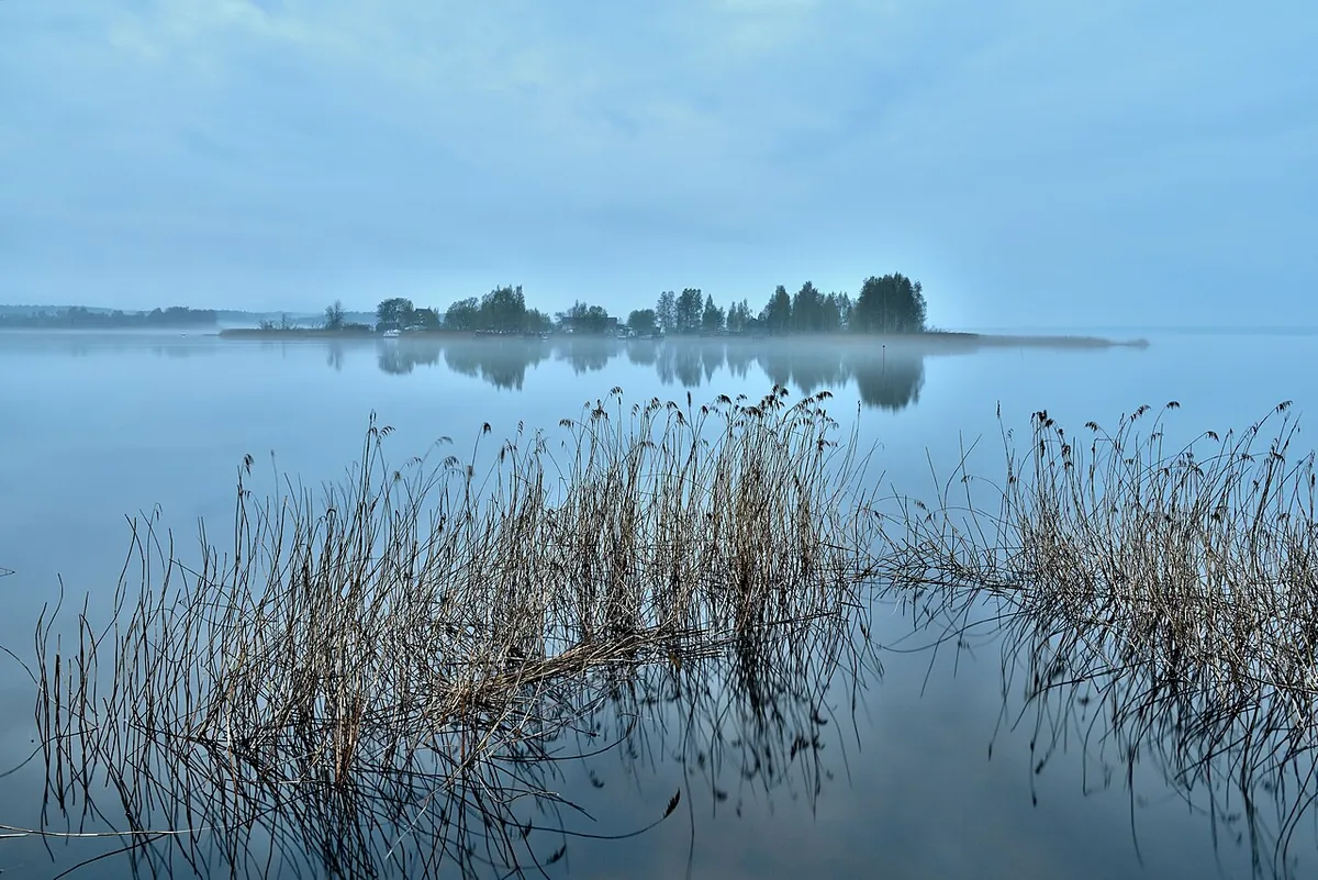 Série Lisières : le lac au lever du jour